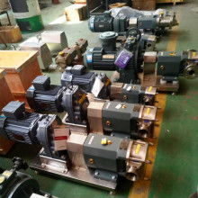  溫州偉亮食品機械廠 主營 轉(zhuǎn)子泵 不銹鋼 膠體