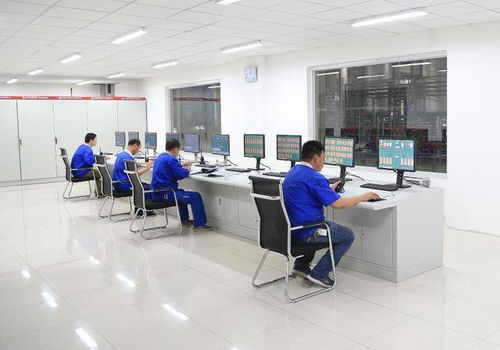 功能食品配料麥芽糖醇 技術發展、市場應用與技術服務全景分析